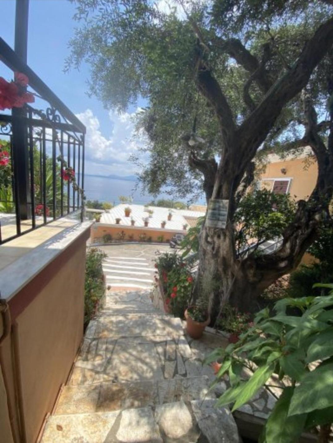 Emilios See View Apartment Barbati Exterior foto